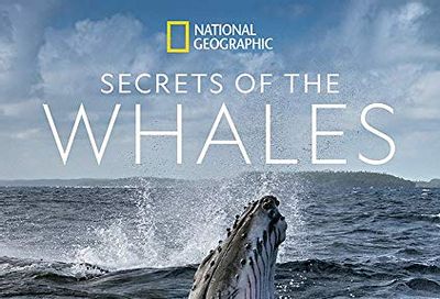 Secrets of the Whales $22.6 (Reg $44.00)
