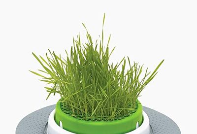 Catit Senses 2.0 Grass Planter, Green (43161W) $14.42 (Reg $24.99)
