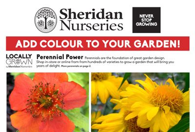 Sheridan Nurseries Flyer June 9 to 29