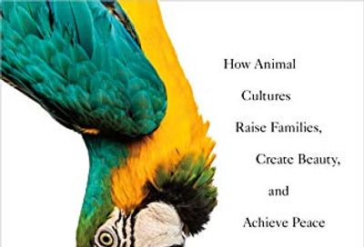 Becoming Wild: How Animal Cultures Raise Families, Create Beauty, and Achieve Peace $9.9 (Reg $39.99)