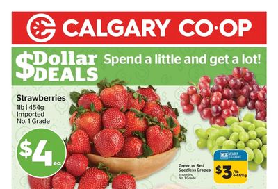 Calgary Co-op Flyer March 23 to 29