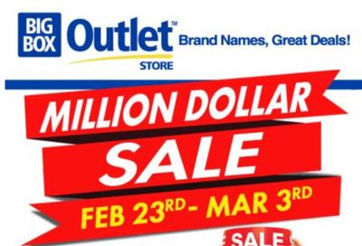 Big Box Outlet Store Flyer February 23 to March 3