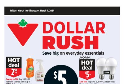 Canadian Tire (West) Flyer March 1 to 7