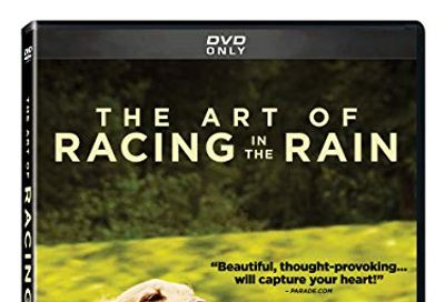 The Art of Racing in the Rain $7.6 (Reg $9.99)