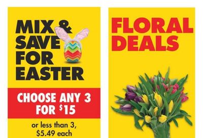 No Frills (West) Flyer March 28 to April 3