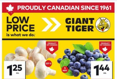 Giant Tiger Canada Flyer Deals July 23rd – 29th