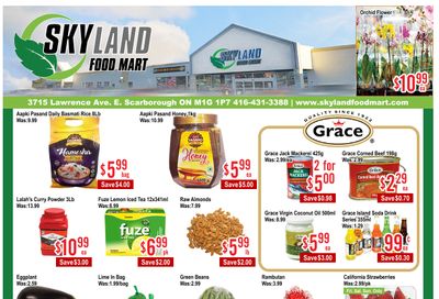Skyland Food Mart Flyer July 25 to 31
