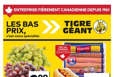 Tigre Géant Flyer July 30 to August 5