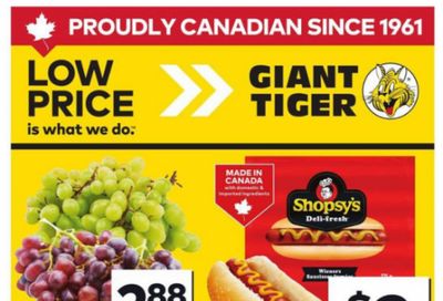 Giant Tiger Canada Flyer Deals July 30th  – August 5th