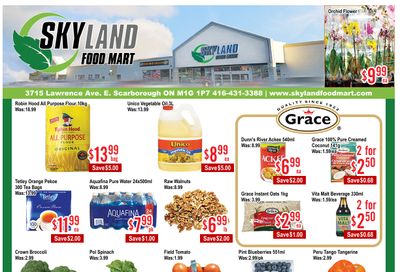 Skyland Food Mart Flyer August 1 to 7