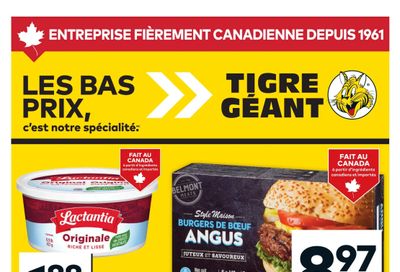 Tigre Géant Flyer August 6 to 12