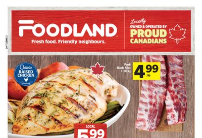 Foodland (ON) Flyer August 7 to 13
