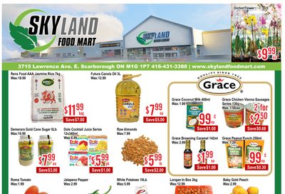 Skyland Food Mart Flyer August 15 to 21