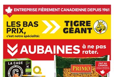 Tigre Géant Flyer August 20 to 26