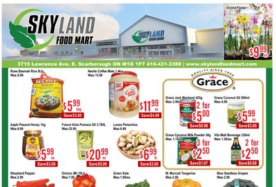 Skyland Food Mart Flyer August 22 to 28