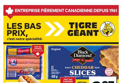 Tigre Géant Flyer August 27 to September 2