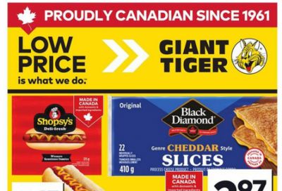 Giant Tiger Canada Flyer Deals: August 27th – September 1st