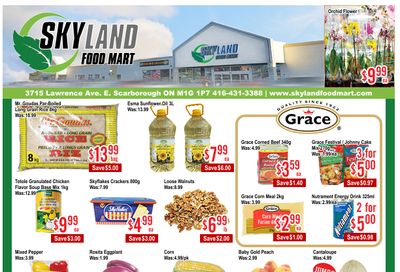 Skyland Food Mart Flyer August 29 to September 4
