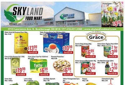 Skyland Food Mart Flyer September 19 to 25