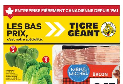 Tigre Géant Flyer September 24 to 30