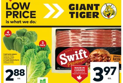 Giant Tiger Canada Flyer Deals September 24th – 30th