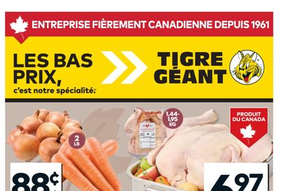 Tigre Géant Flyer October 8 to 14