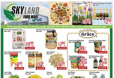 Skyland Food Mart Flyer October 10 to 16