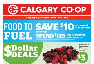 Calgary Co-op Flyer October 16 to 22