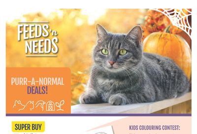 ShurGain Feeds'n Needs Flyer October 16 to 22