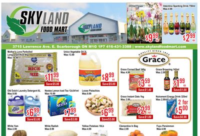 Skyland Food Mart Flyer October 17 to 23