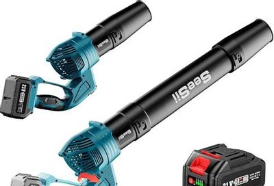 Amazon Canada Deals: Save 32% on Leaf Blower Cordless + 30% on Columbia Women’s Hooded Jacket Using Promo Code + More