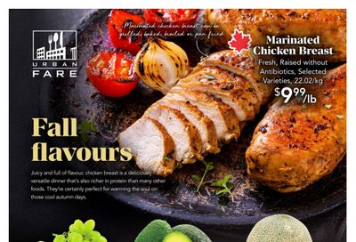 Urban Fare Flyer October 30 to November 5