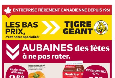 Tigre Géant Flyer November 5 to 11