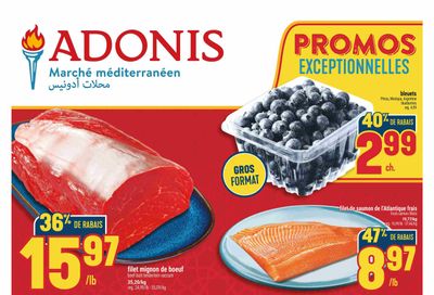 Adonis (QC) Flyer November 6 to 12