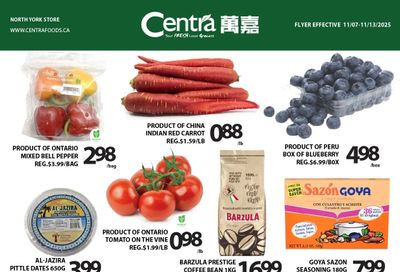 Centra Foods (North York) Flyer November 7 to 13