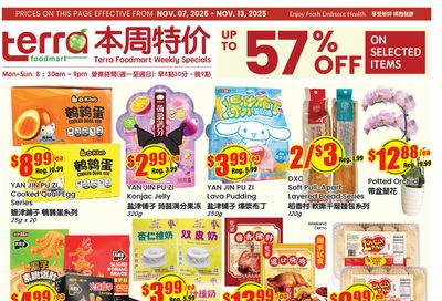 Terra Foodmart Flyer November 7 to 13