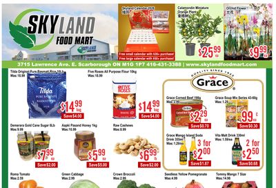 Skyland Food Mart Flyer November 7 to 13