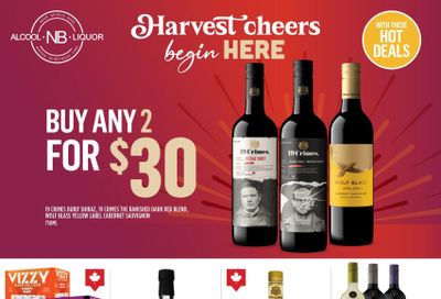 ANBL Flyer November 13 to 23