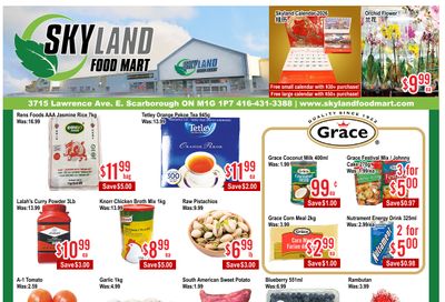 Skyland Food Mart Flyer November 14 to 20
