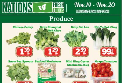 Nations Fresh Foods (Mississauga) Flyer November 14 to 20