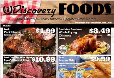 Discovery Foods Flyer November 16 to 22