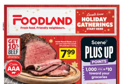 Foodland (ON) Flyer November 20 to 26