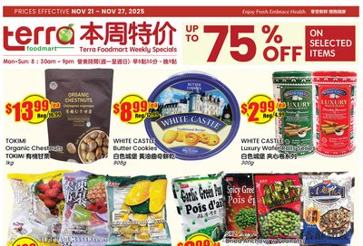 Terra Foodmart Flyer November 21 to 27
