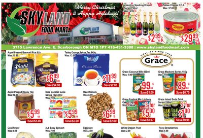 Skyland Food Mart Flyer December 19 to 25
