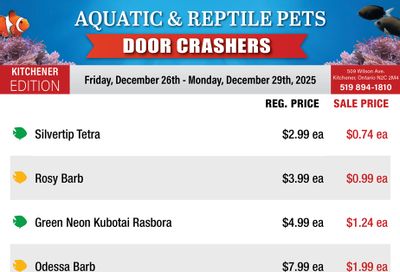 Big Al's (Kitchener) Weekly Specials December 26 to 29