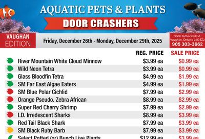 Big Al's (Vaughan) Weekly Specials December 26 to 29