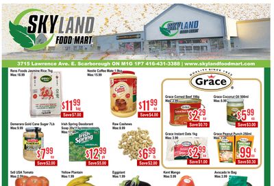 Skyland Food Mart Flyer January 2 to 8