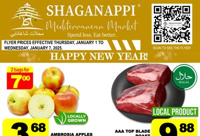 Shaganappi Mediterranean Market Flyer January 1 to 7