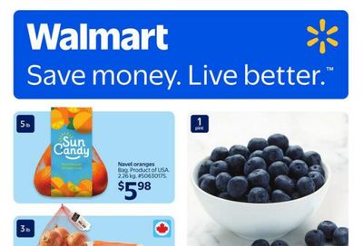 Walmart (ON) Flyer January 8 to 14