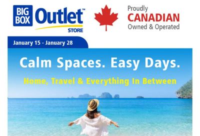 Big Box Outlet Store Flyer January 15 to 28